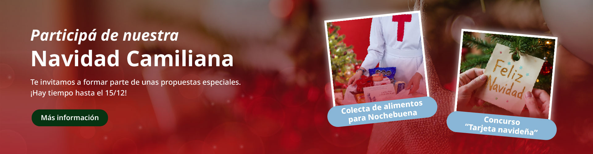 banner navidad camiliana